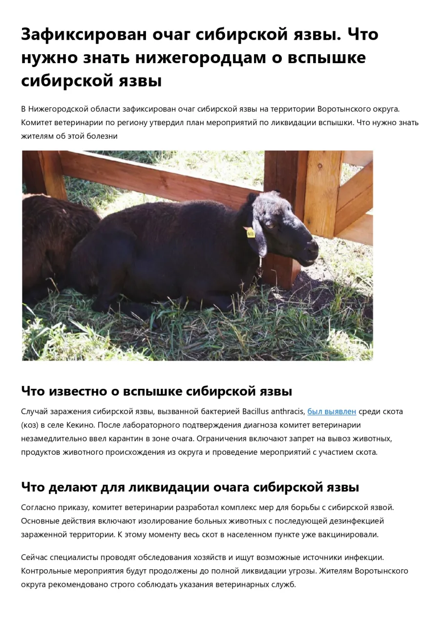 Зафиксирован очаг сибирской язвы. Что нужно знать нижегородцам о вспышке сибирской язвы